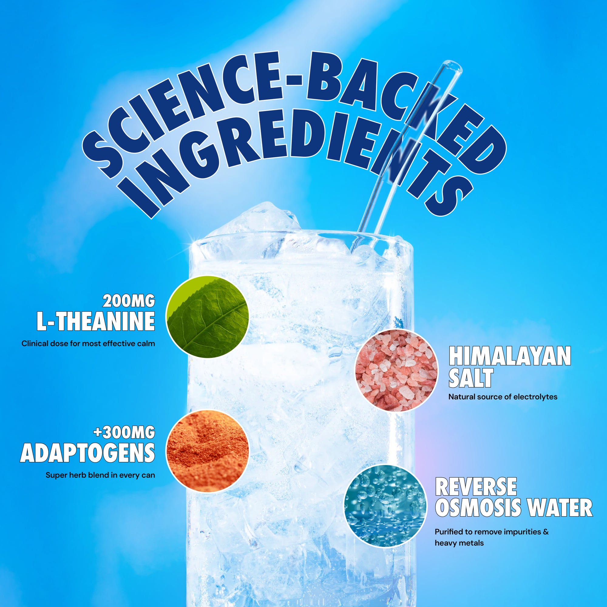 Calming Variety Pack - 12 Cans