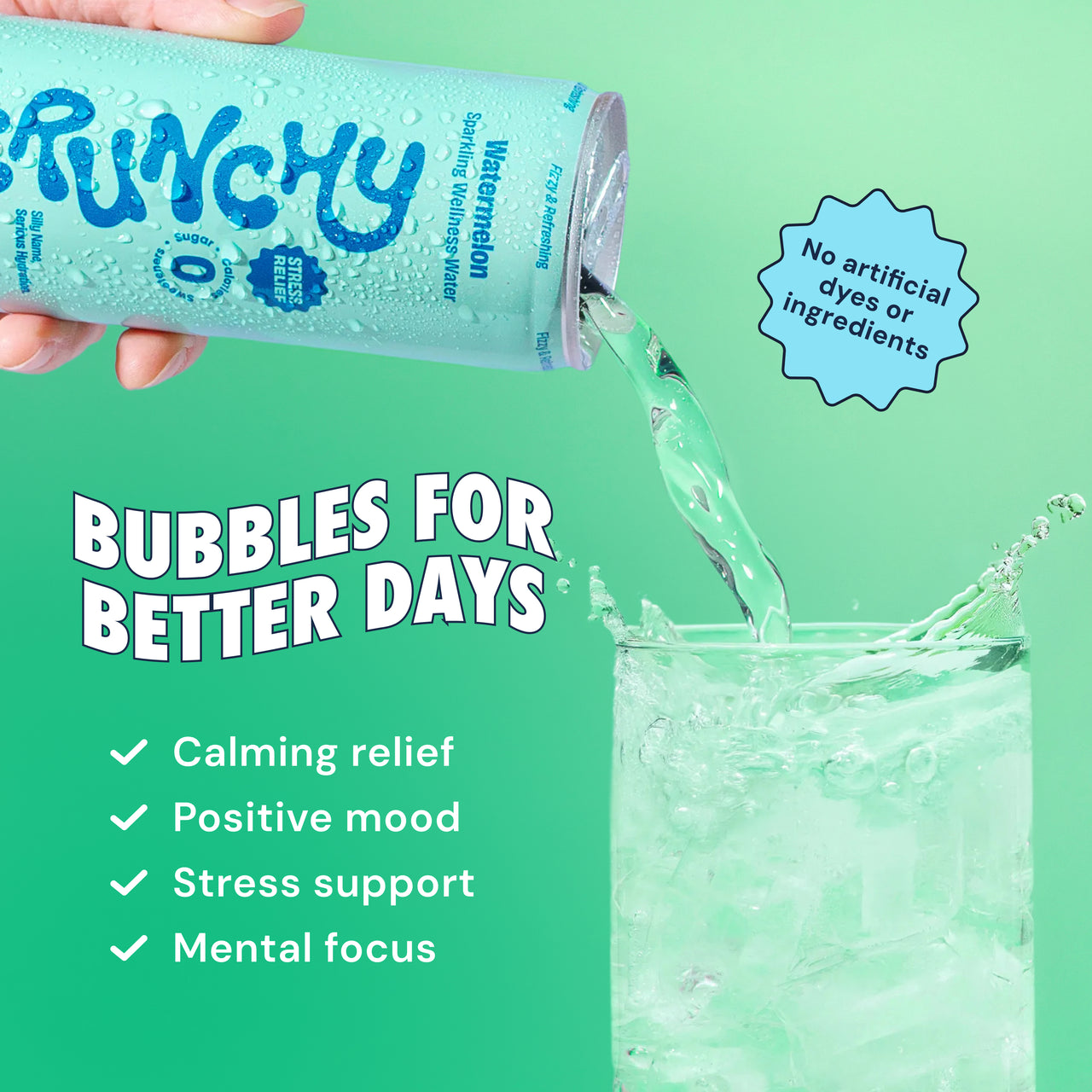 Watermelon - 12 Cans